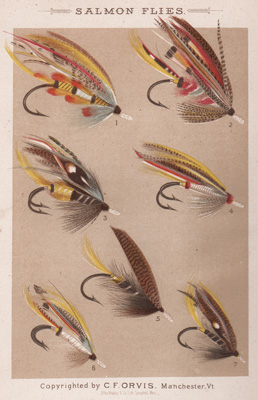 ANTIQUE PRINT OF FISHING FLIES FROM 1885